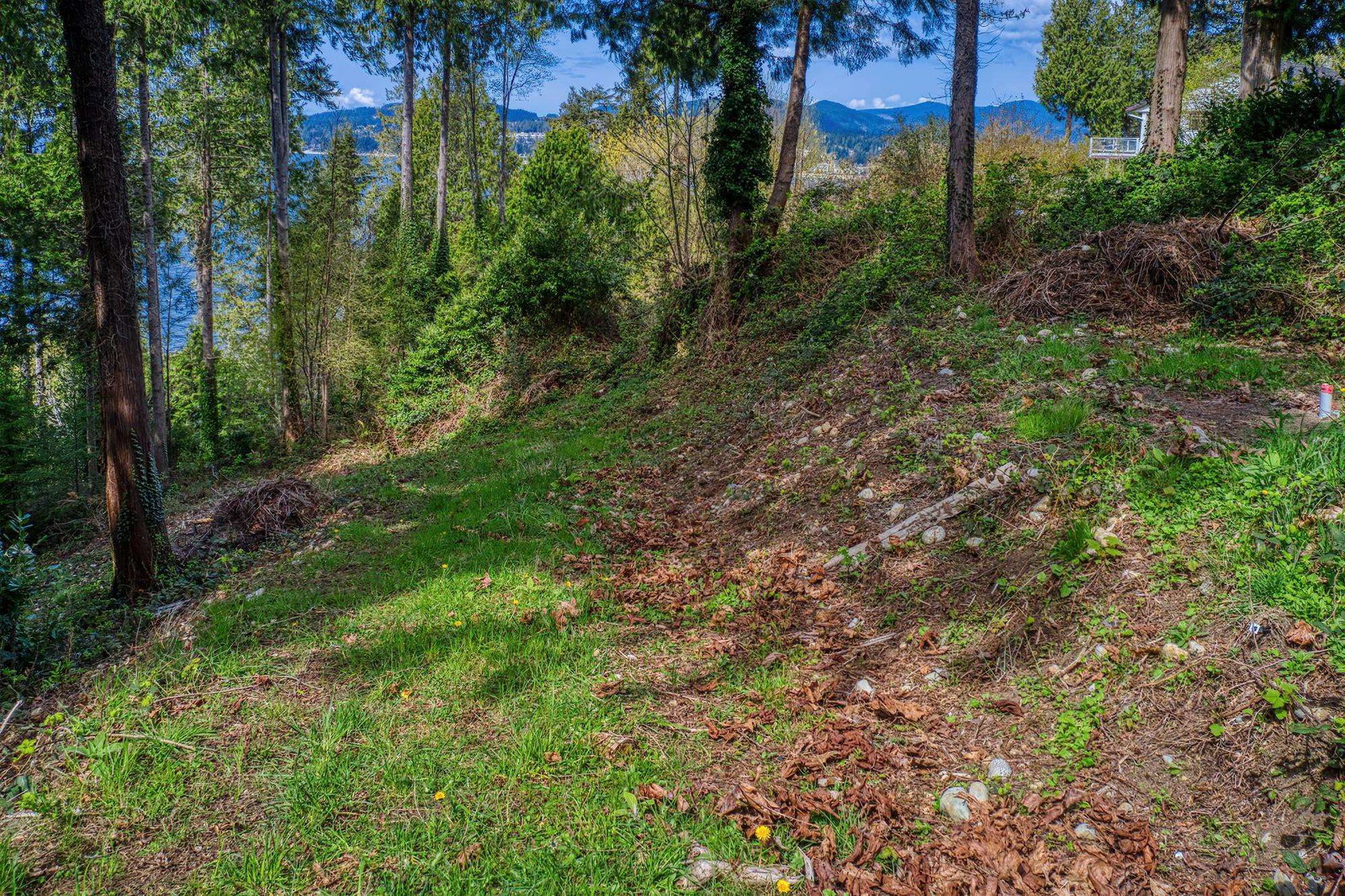 Listing Image 25