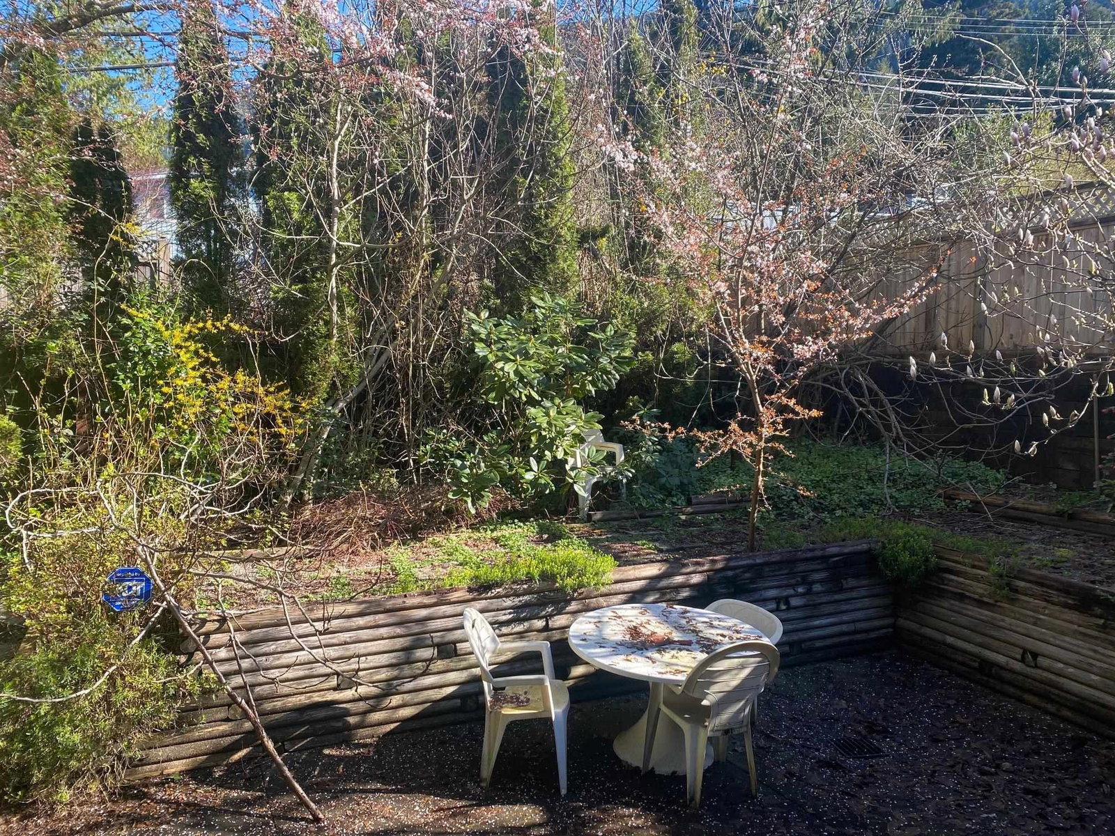 Listing Image 25