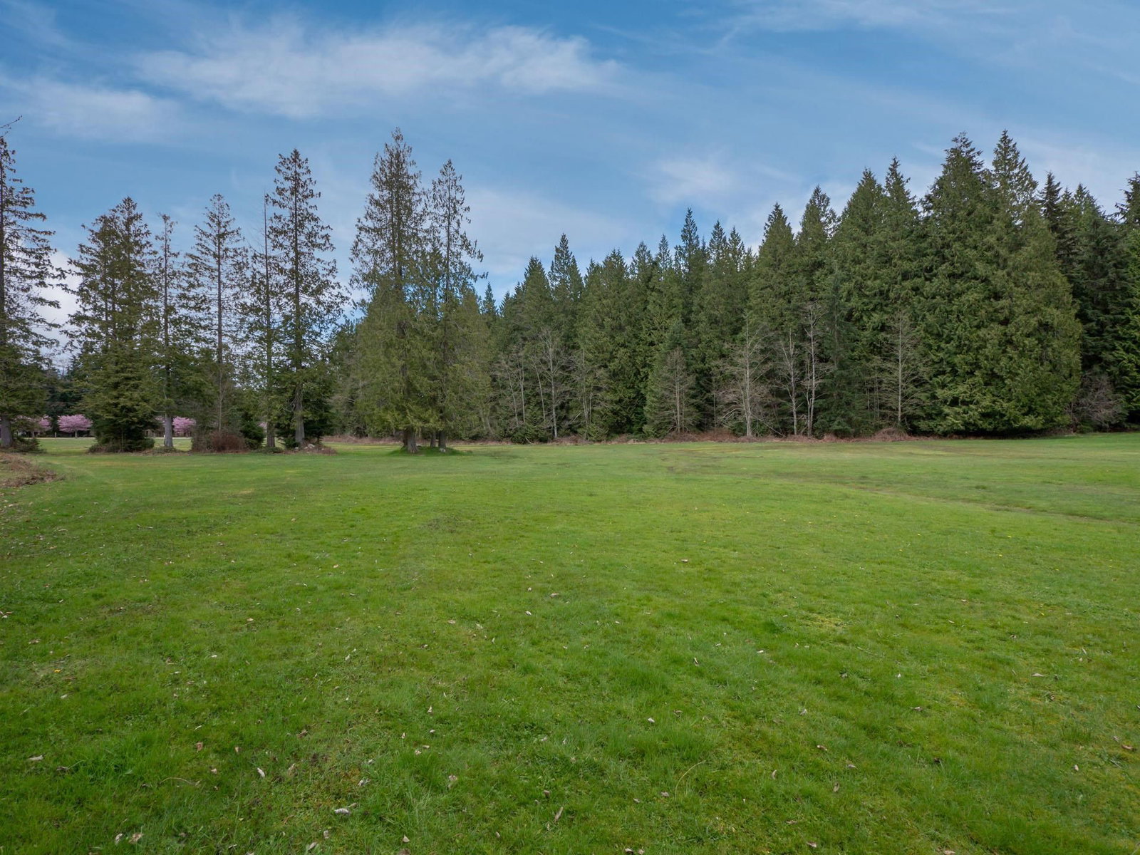 Listing Image 36