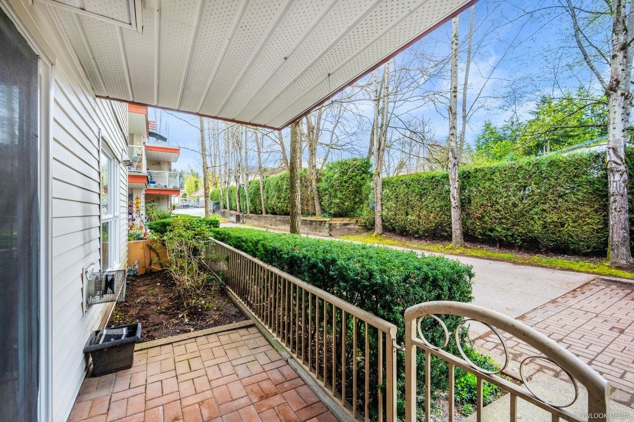 Listing Image 19