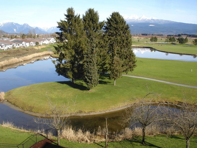 429 - 19673 Meadow Gardens Way, Pitt Meadows, V3Y 0A1 | Image 2