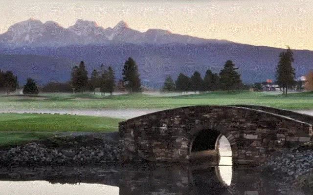 429 - 19673 Meadow Gardens Way, Pitt Meadows, V3Y 0A1 | Image 3