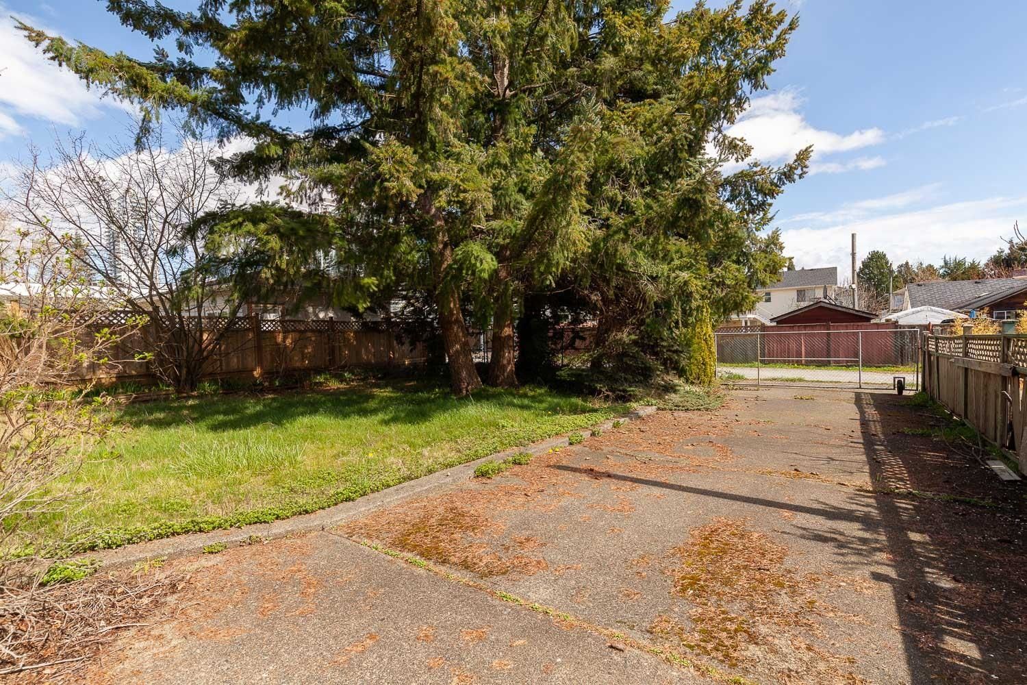 Listing Image 4