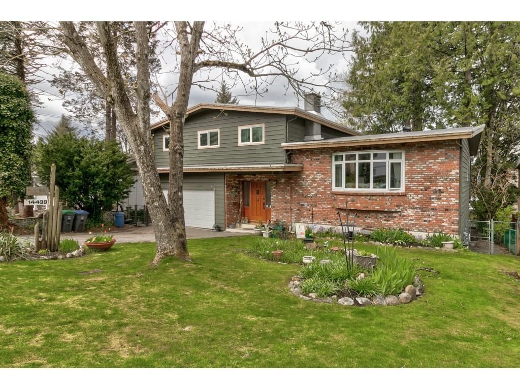 Listing Image 1
