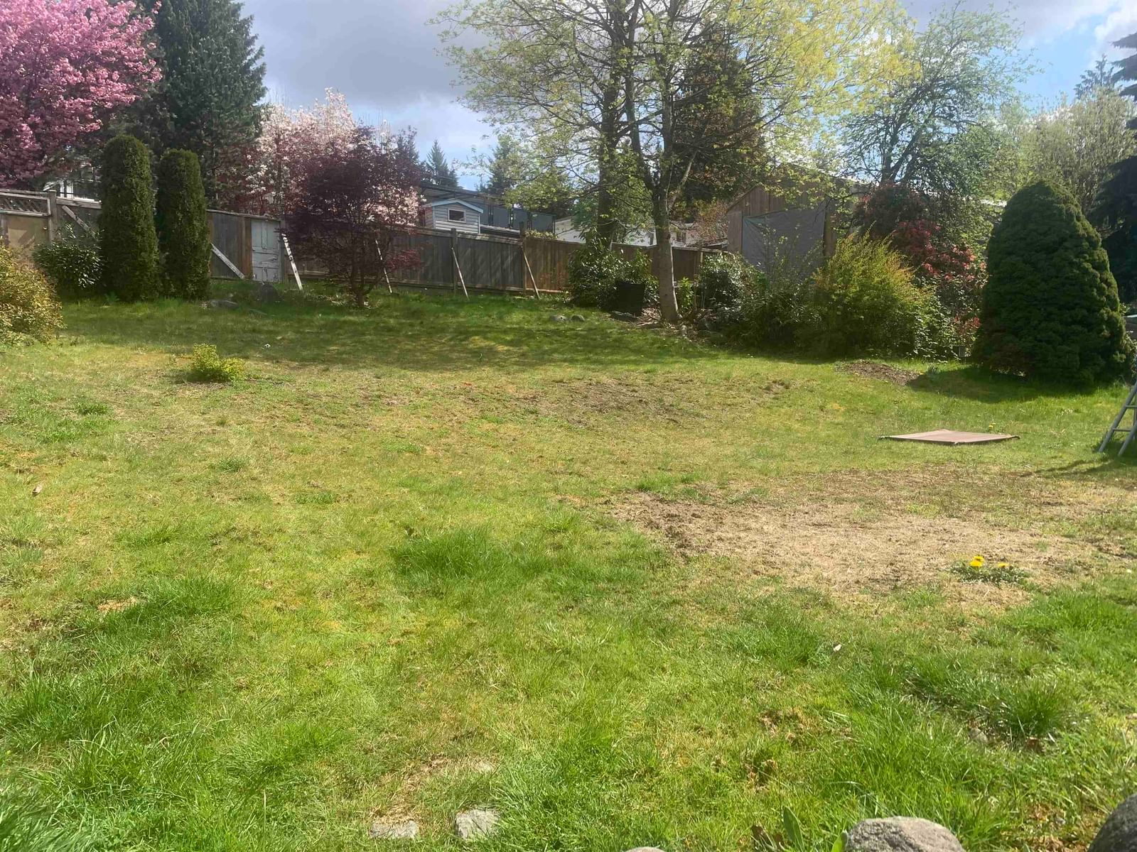 Listing Image 23