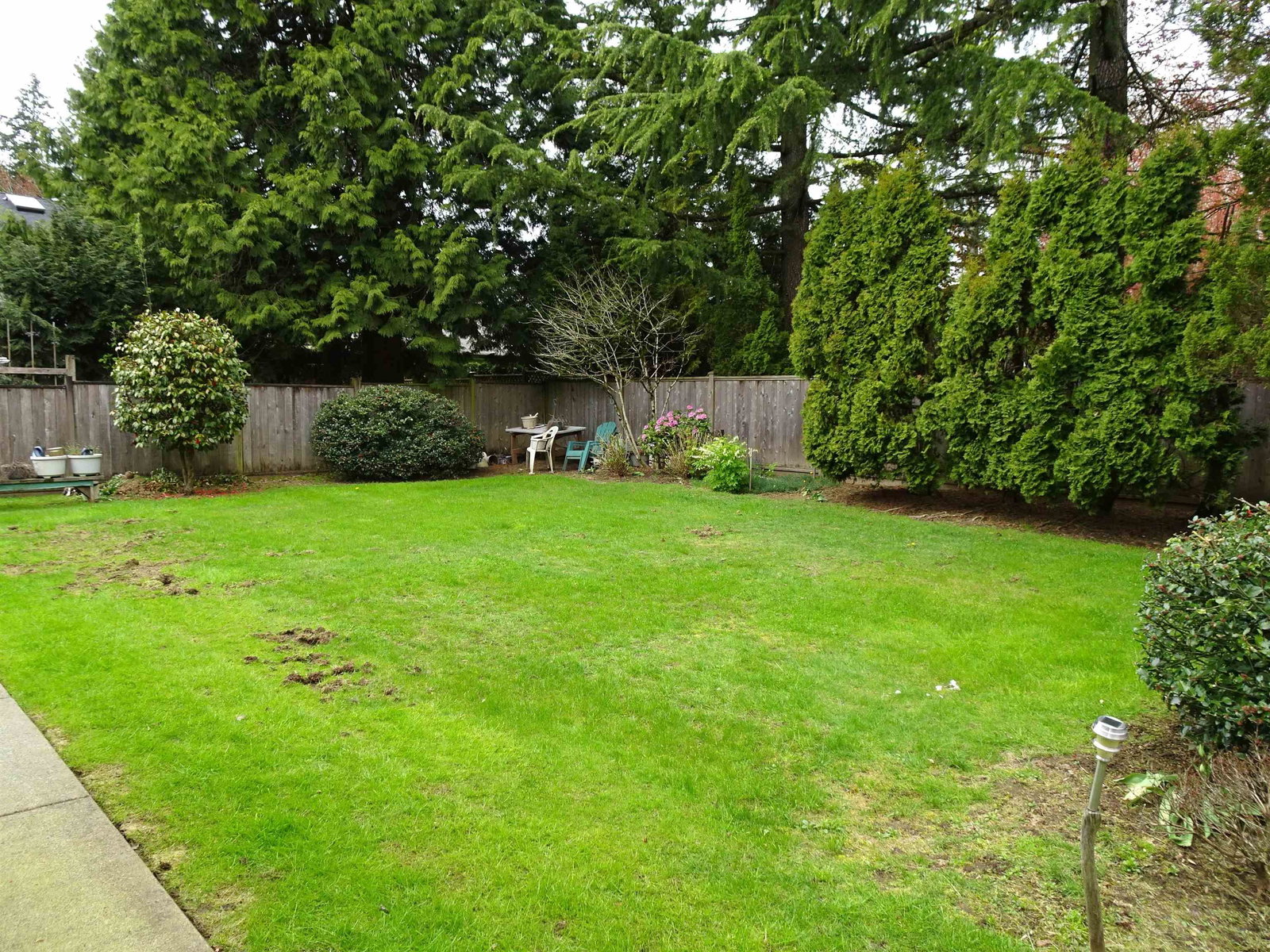 Listing Image 31