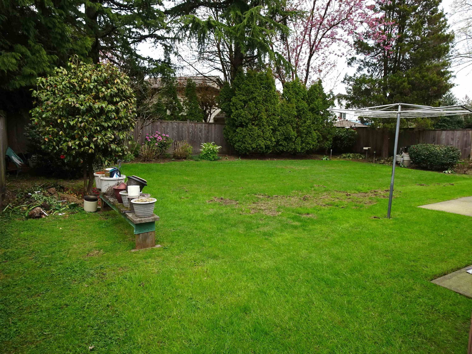 Listing Image 32