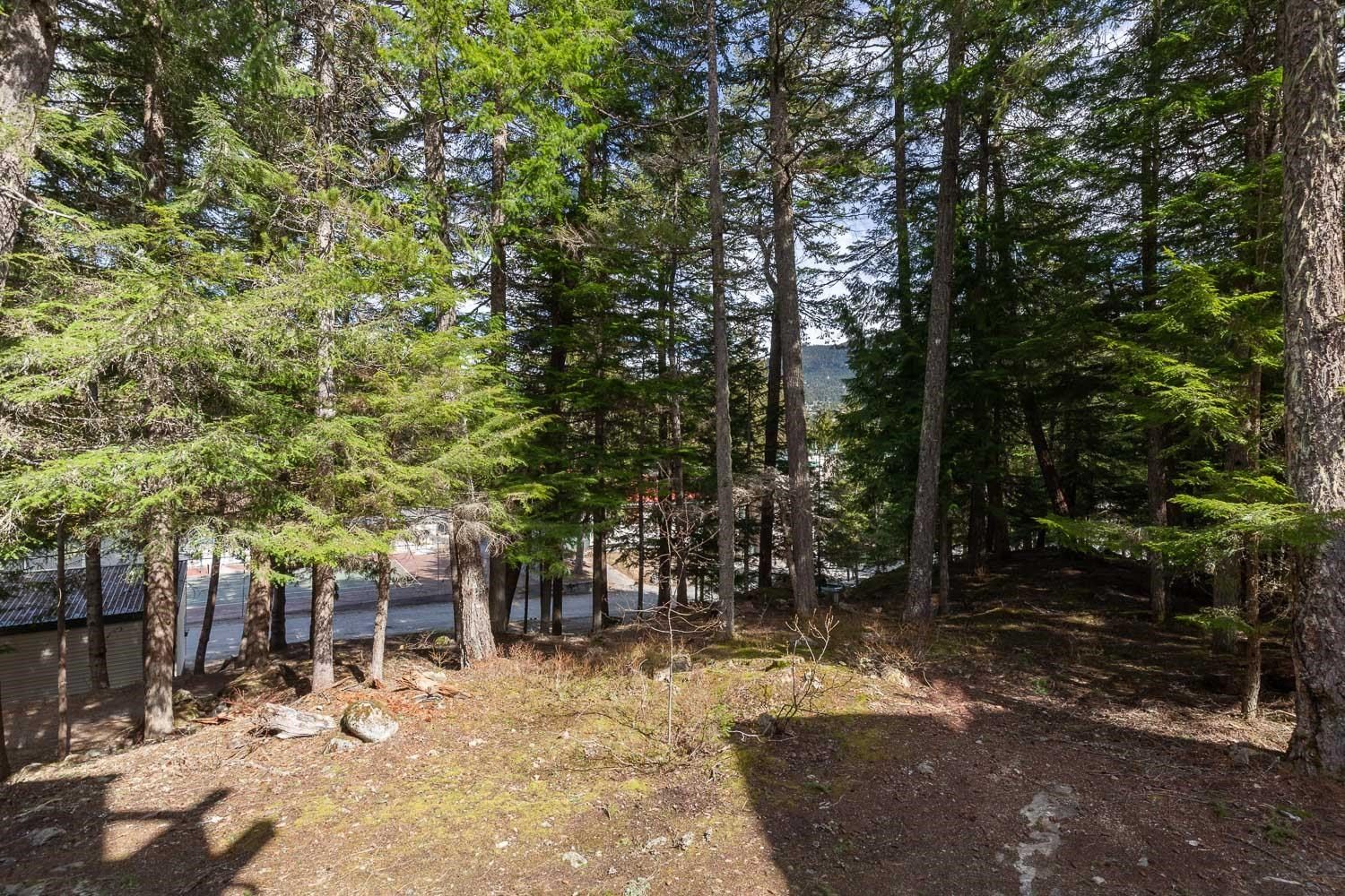 Listing Image 23