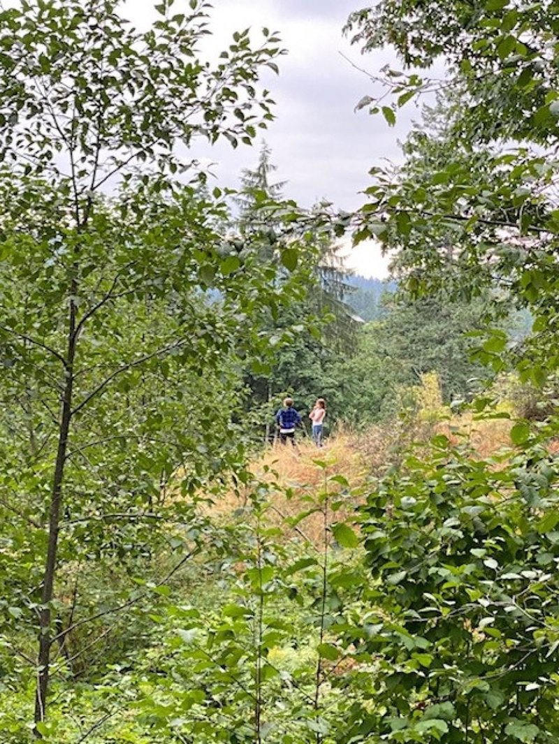 34821 Ferndale Avenue, Mission, V2V 7C8 | Image 2