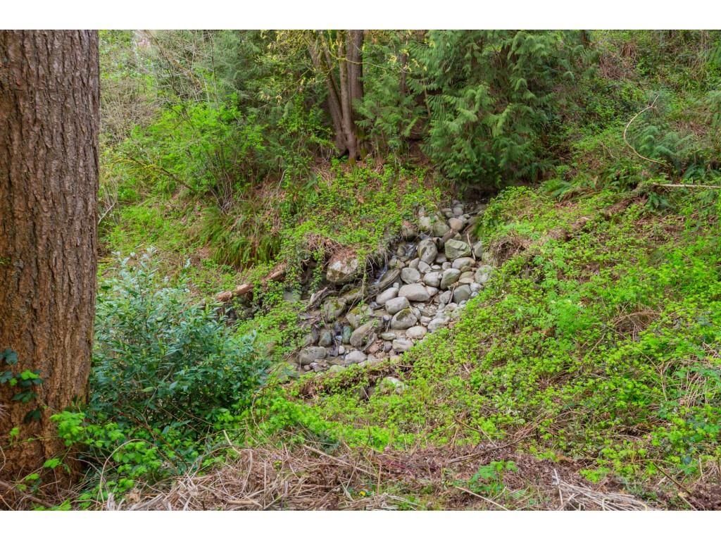 Listing Image 38