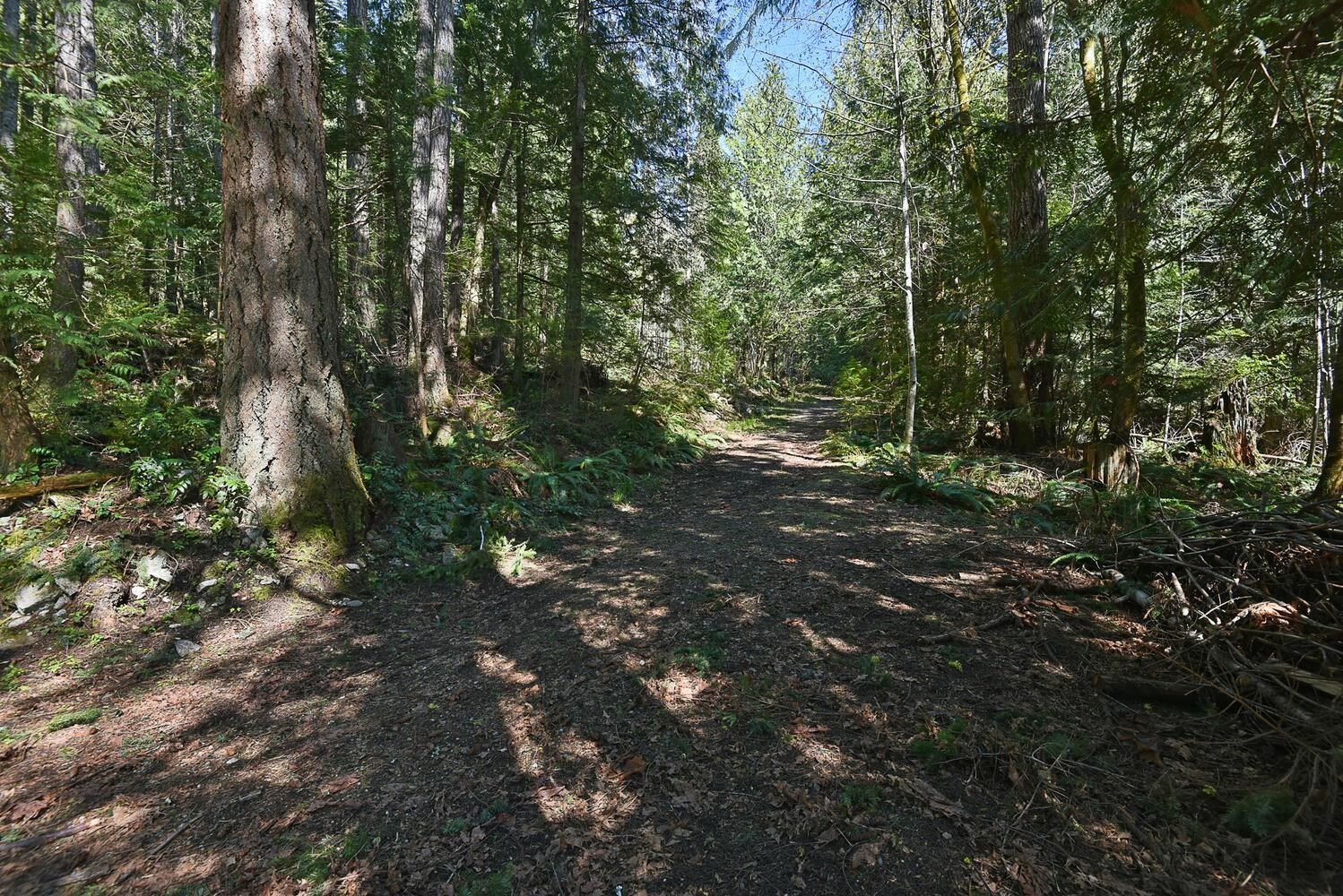 Listing Image 26
