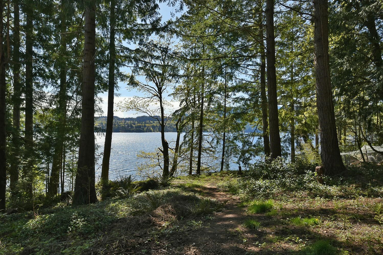 Listing Image 27
