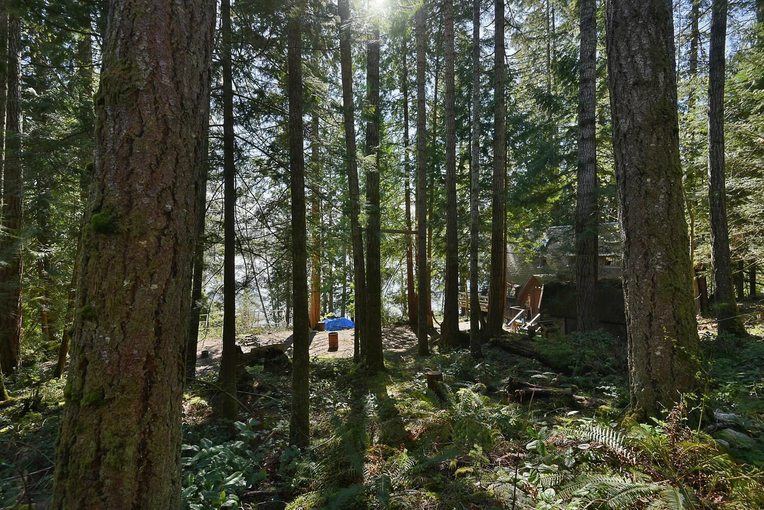 Listing Image 29