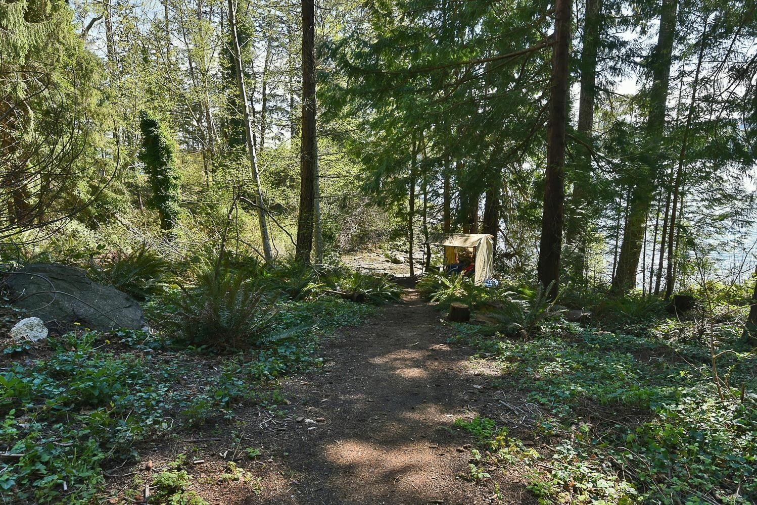 Listing Image 30