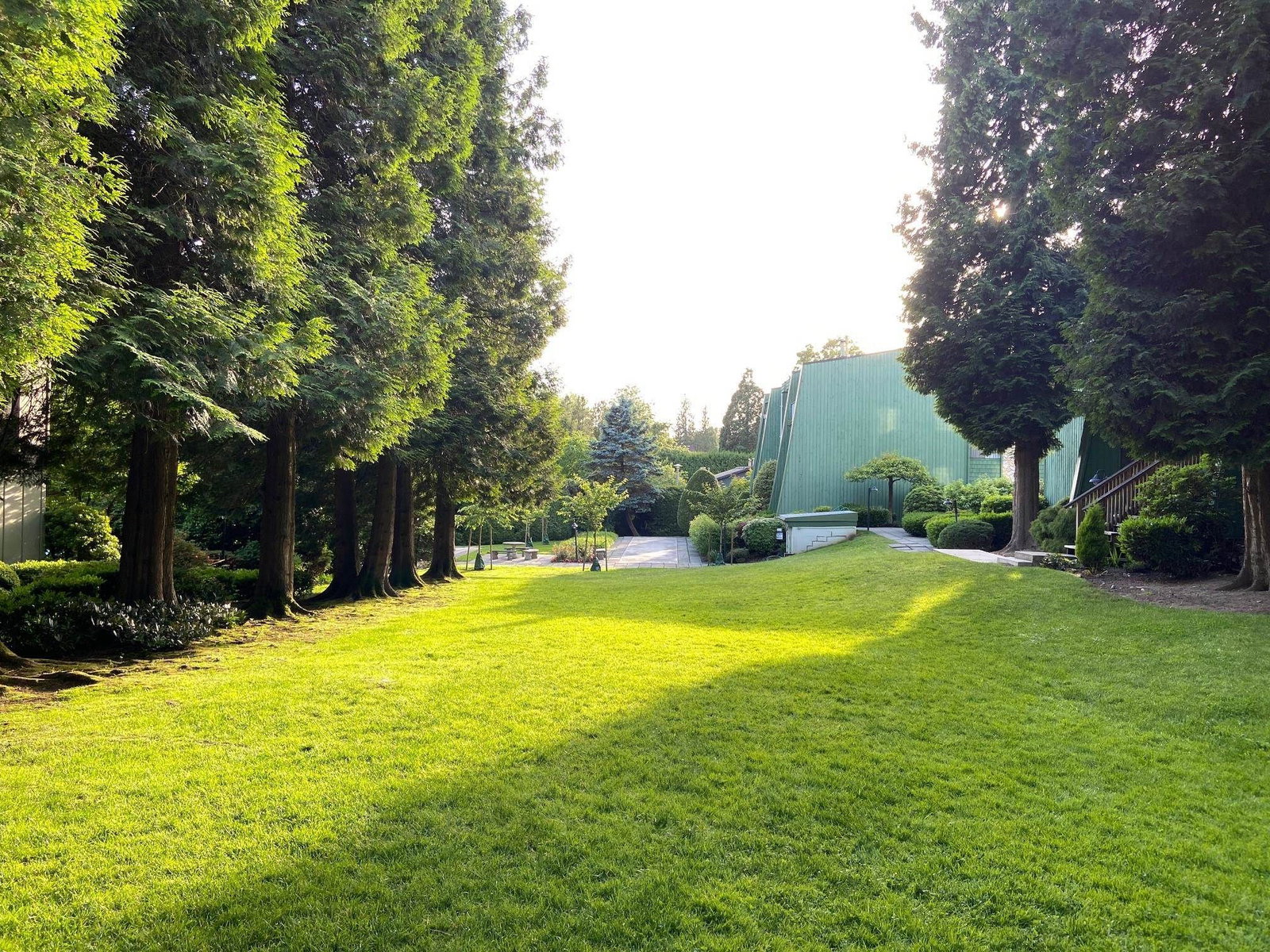 Listing Image 17