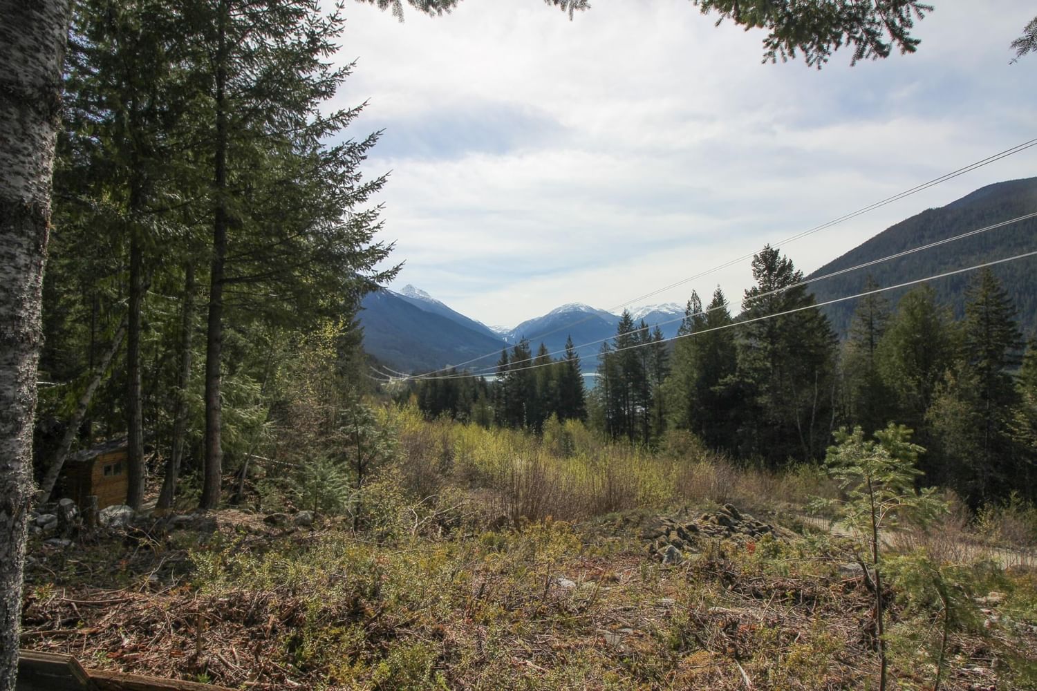 Listing Image 24
