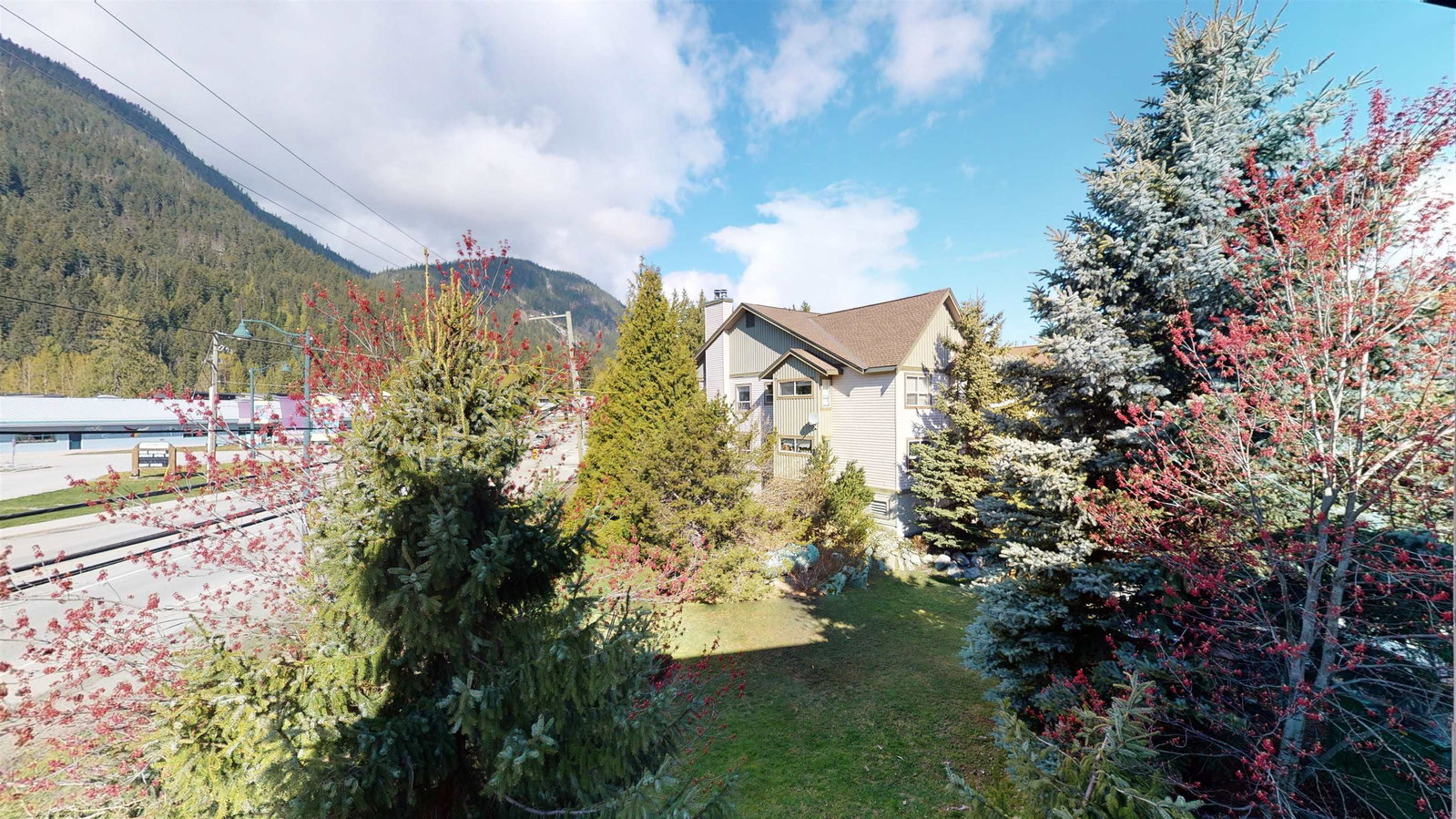 Listing Image 20