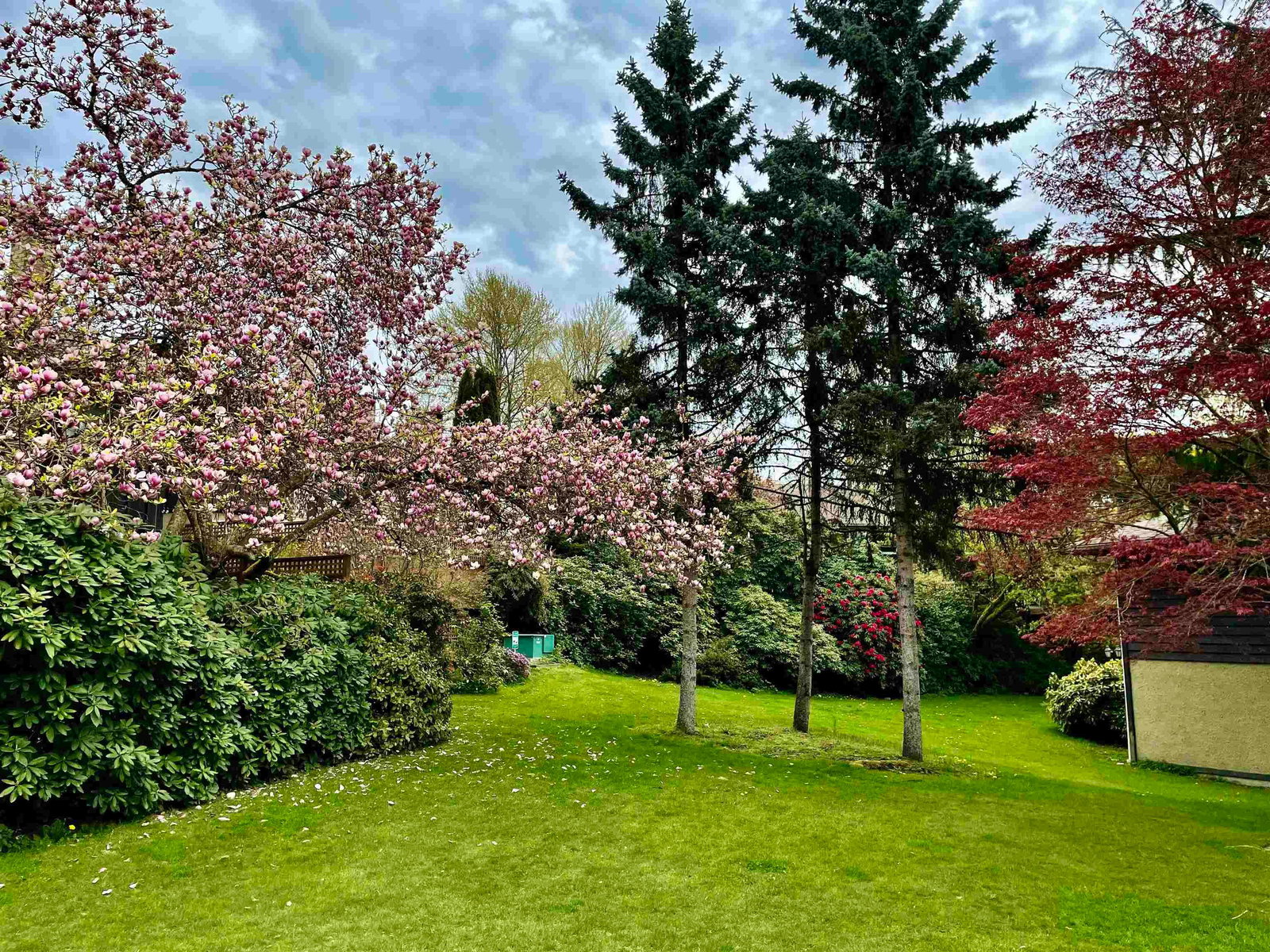 Listing Image 14