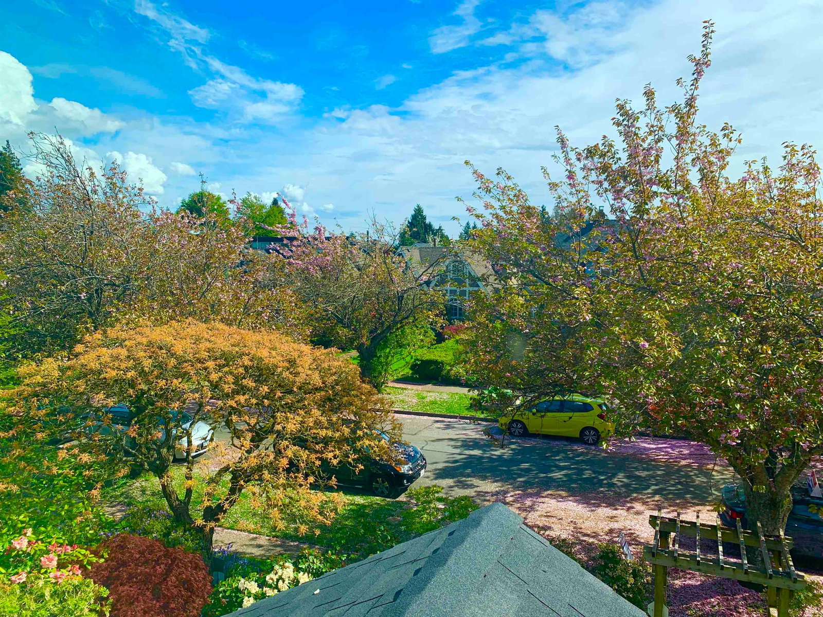 Listing Image 34