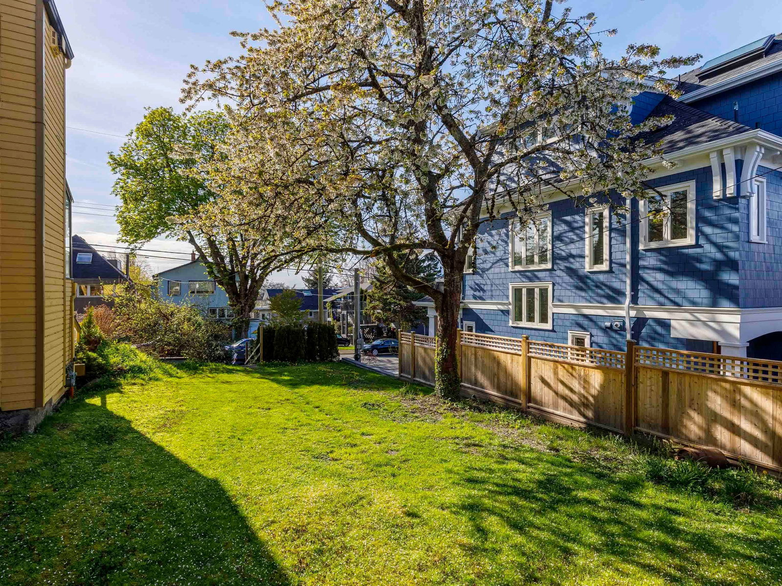 Listing Image 20