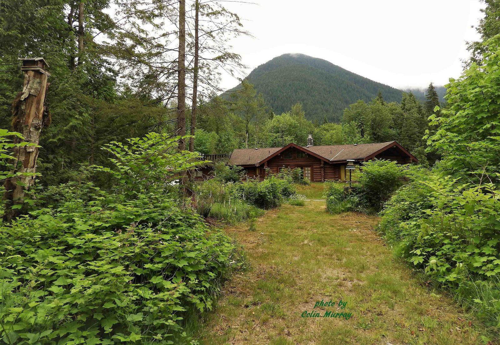Listing Image 29