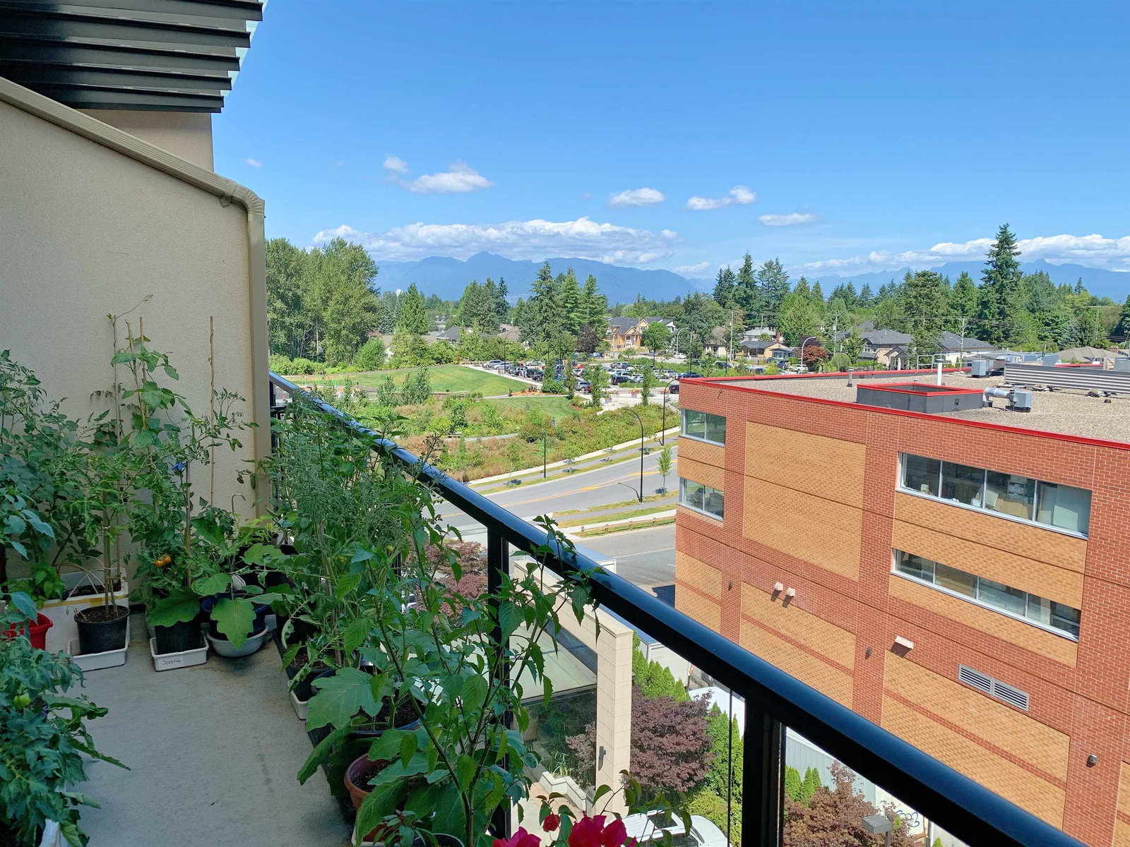 Listing Image 6