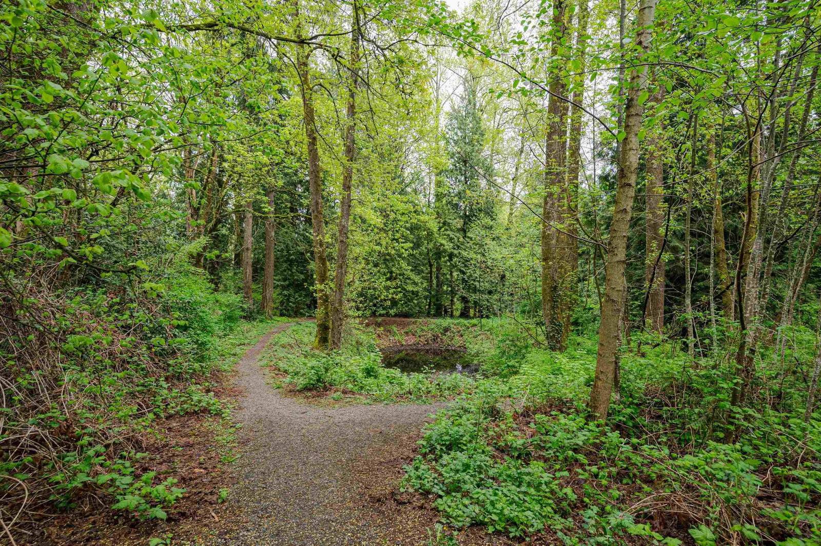 Listing Image 27