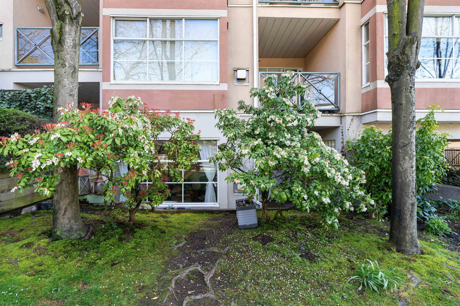 Listing Image 17