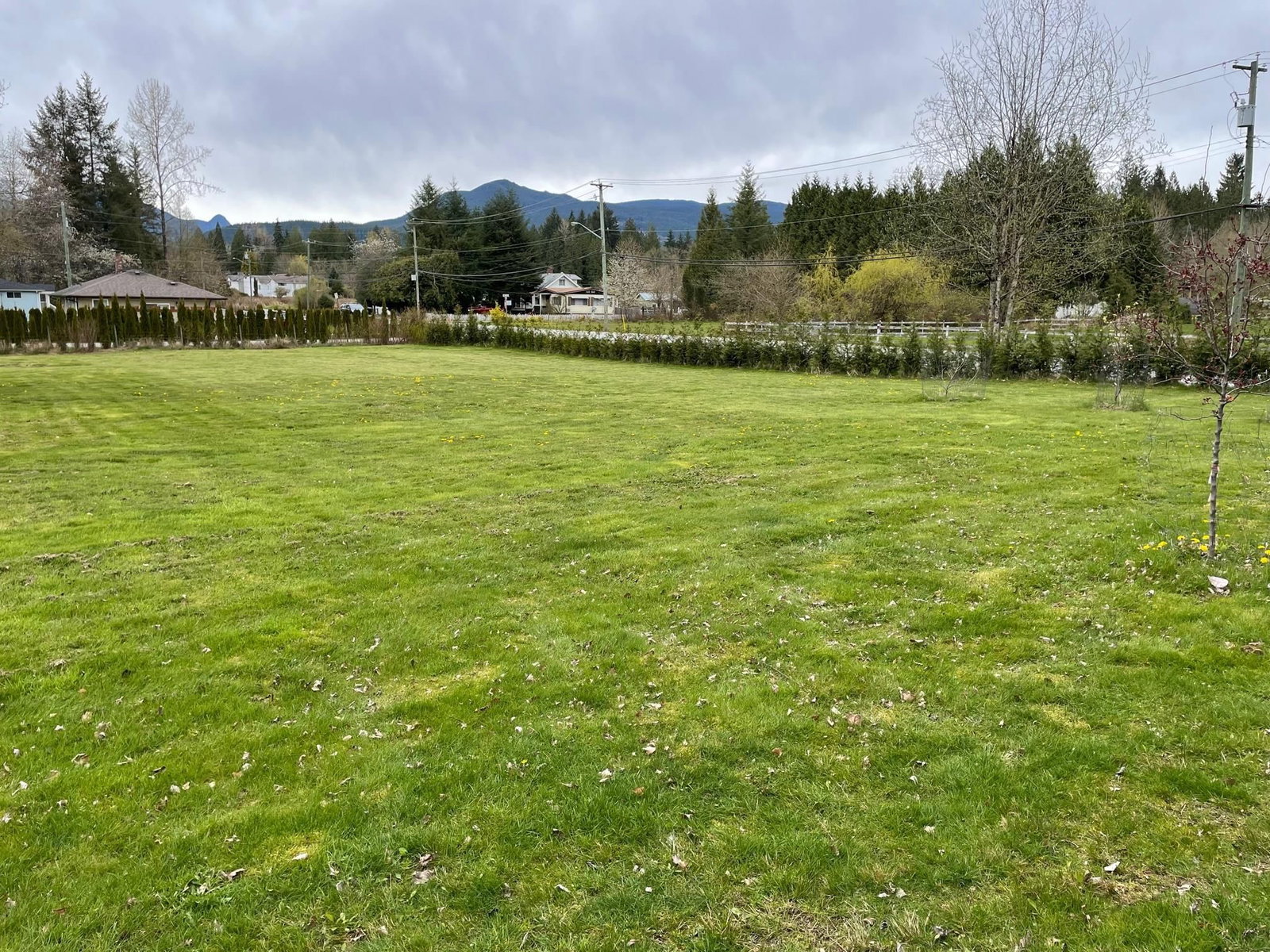 Listing Image 4