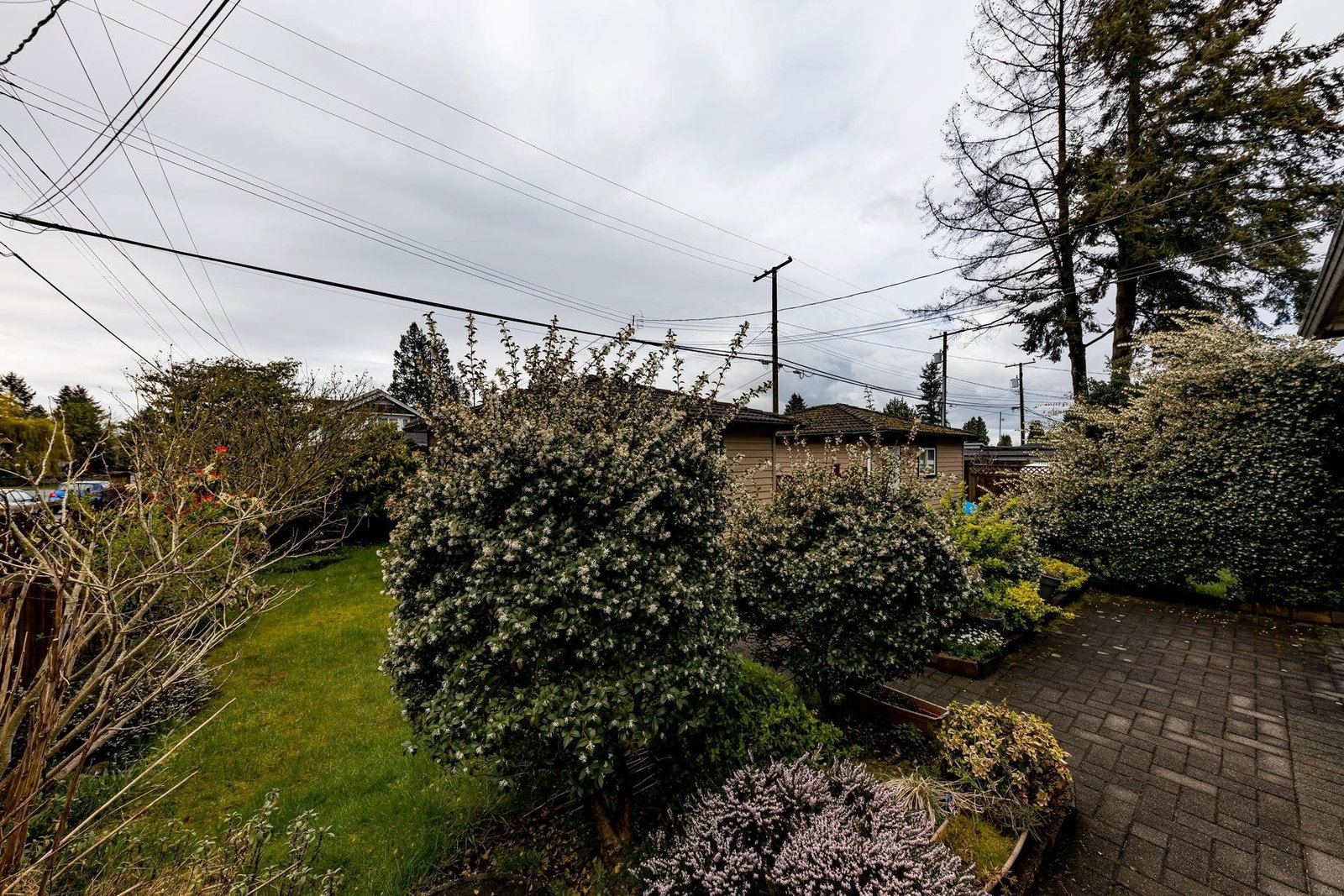 Listing Image 39