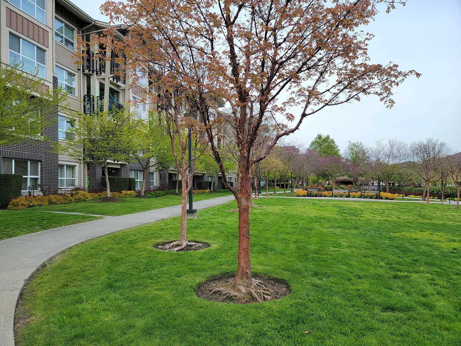 Listing Image 24