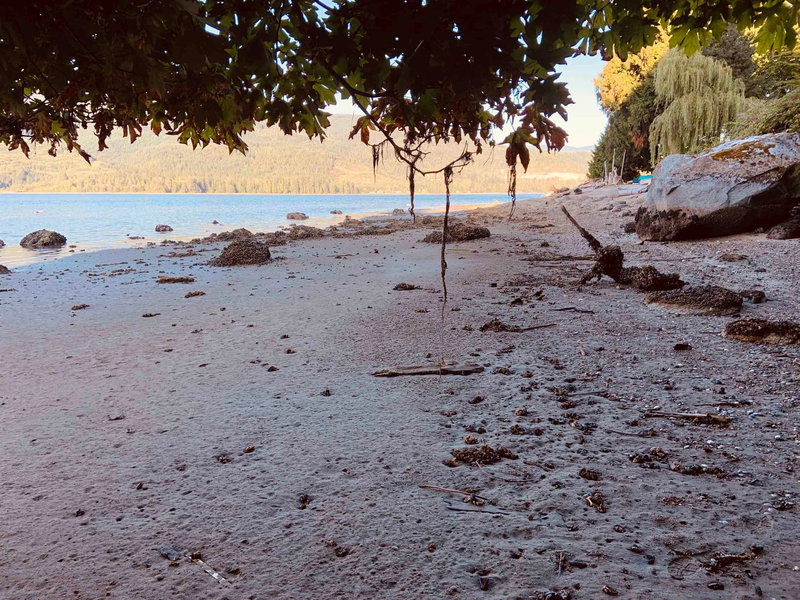 LOT 18 Gale Avenue, Sechelt, V7Z 0L1 | Image 2