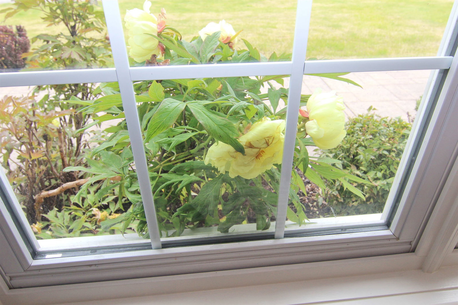 Listing Image 36