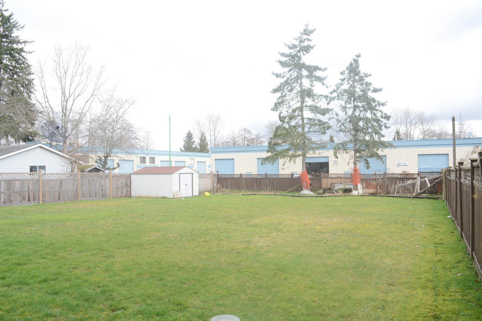 Listing Image 6