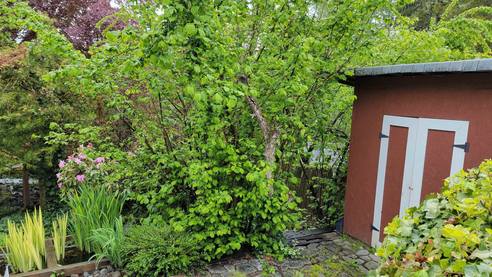 Listing Image 18