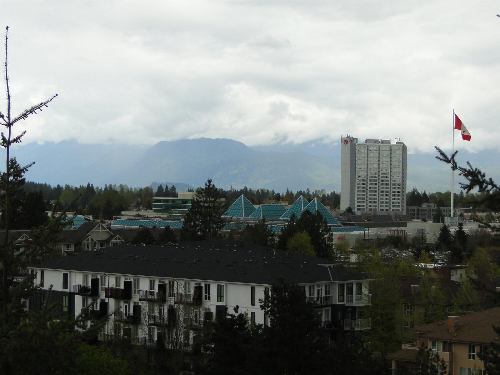 Listing Image 5