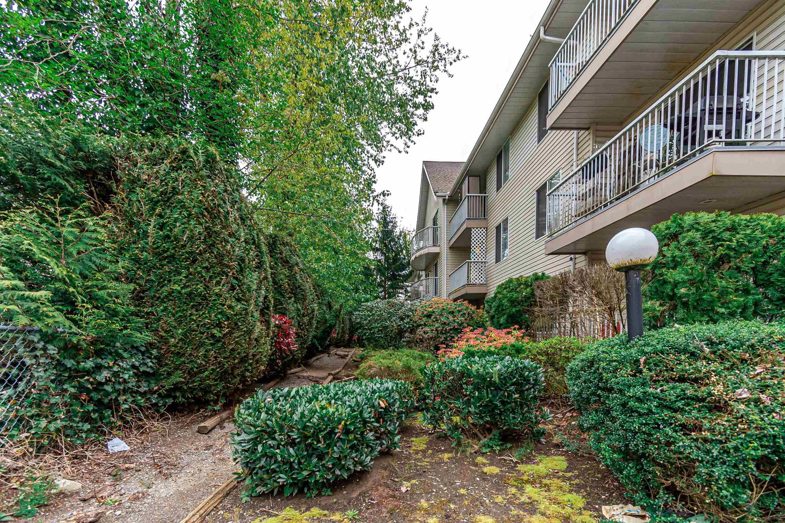 Listing Image 19