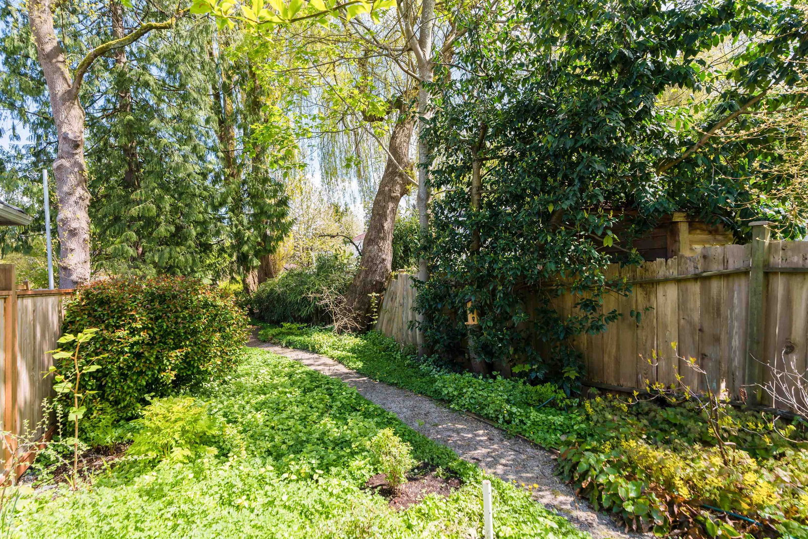 Listing Image 35