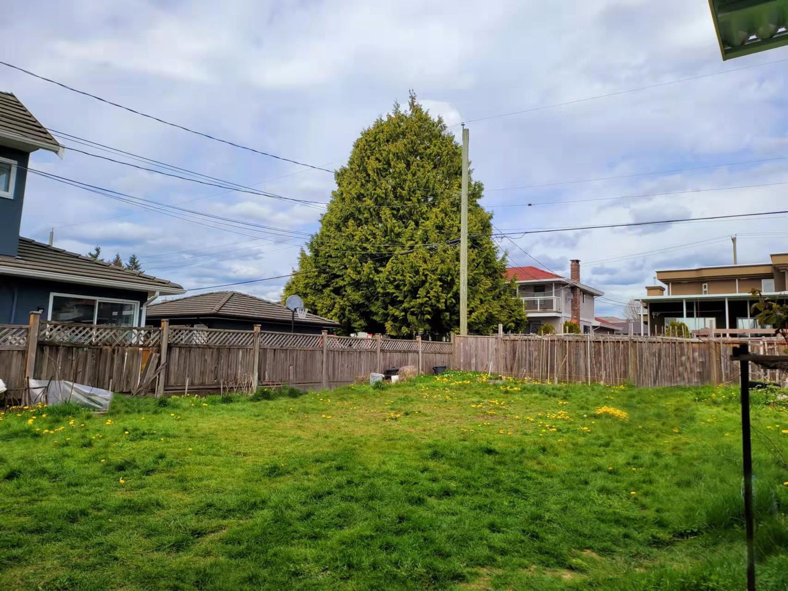 Listing Image 20