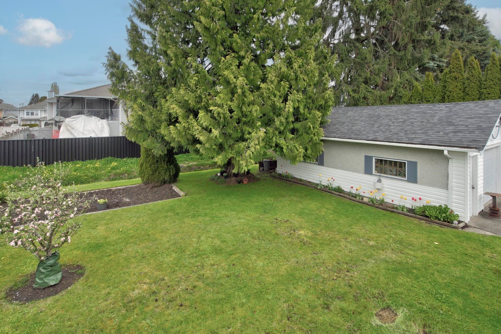 Listing Image 32