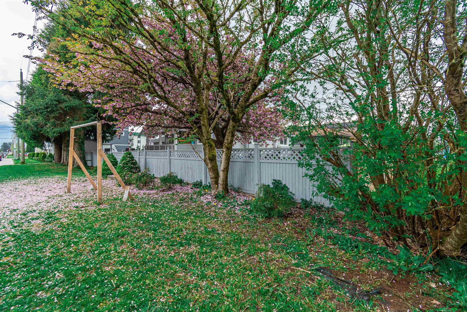 Listing Image 39
