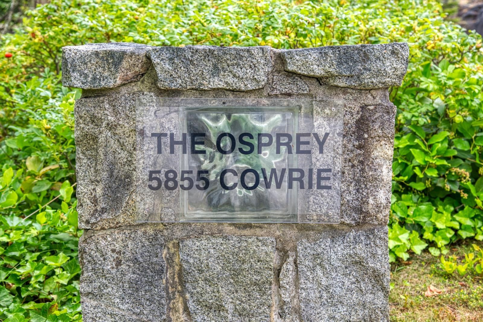 Listing Image 30