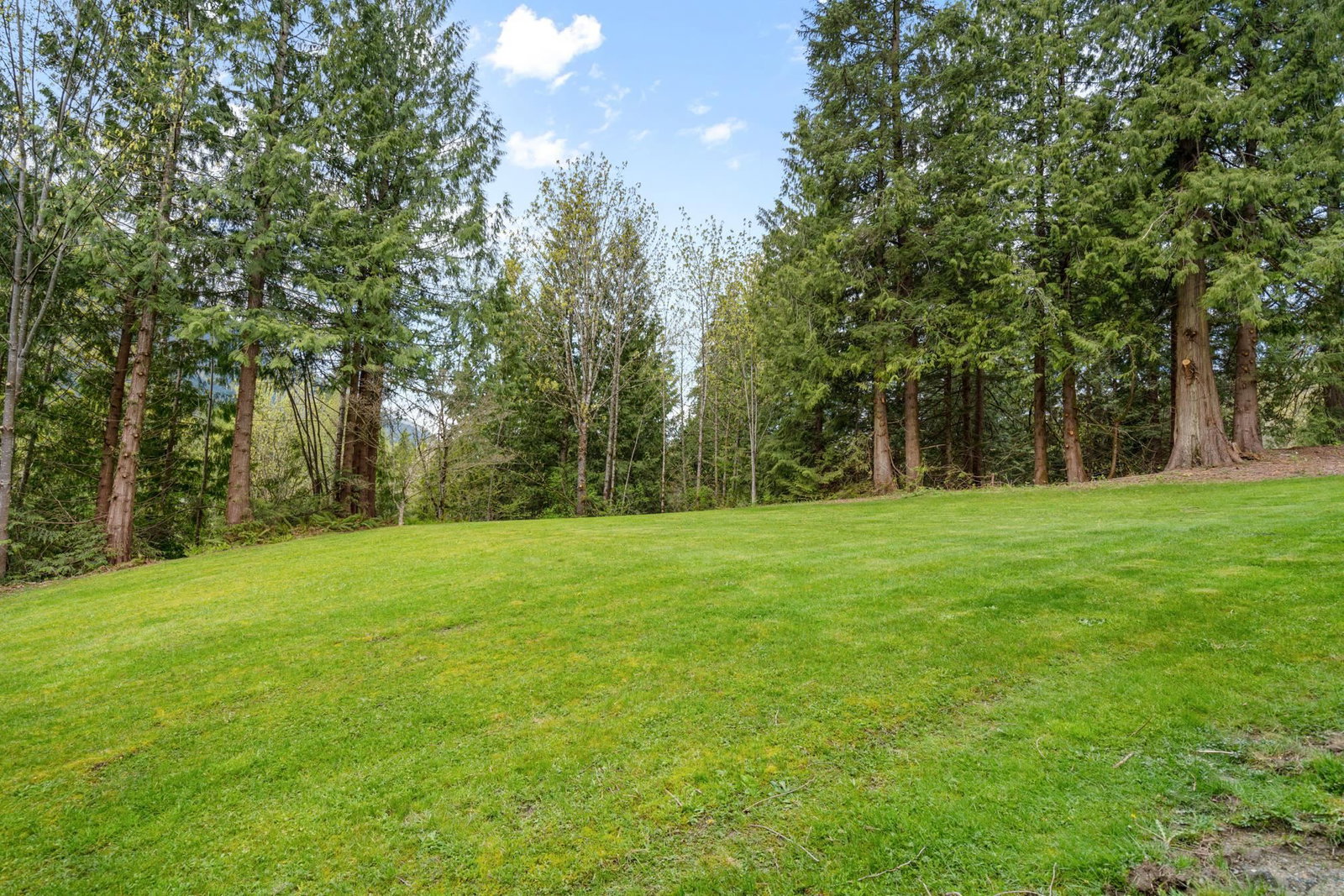 Listing Image 36