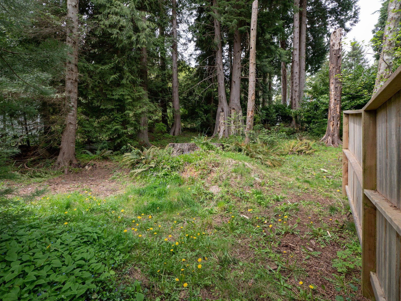 Listing Image 32
