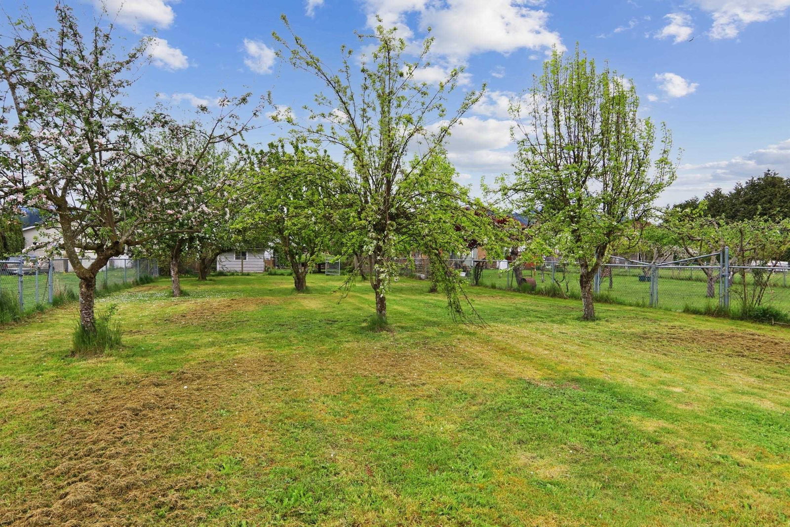 Listing Image 18