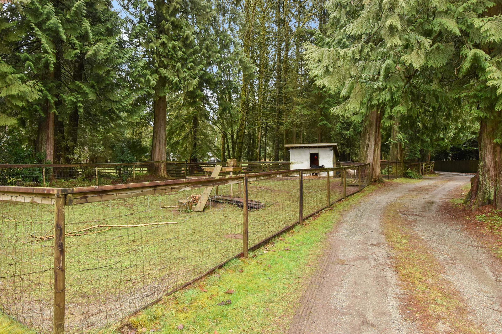 Listing Image 25