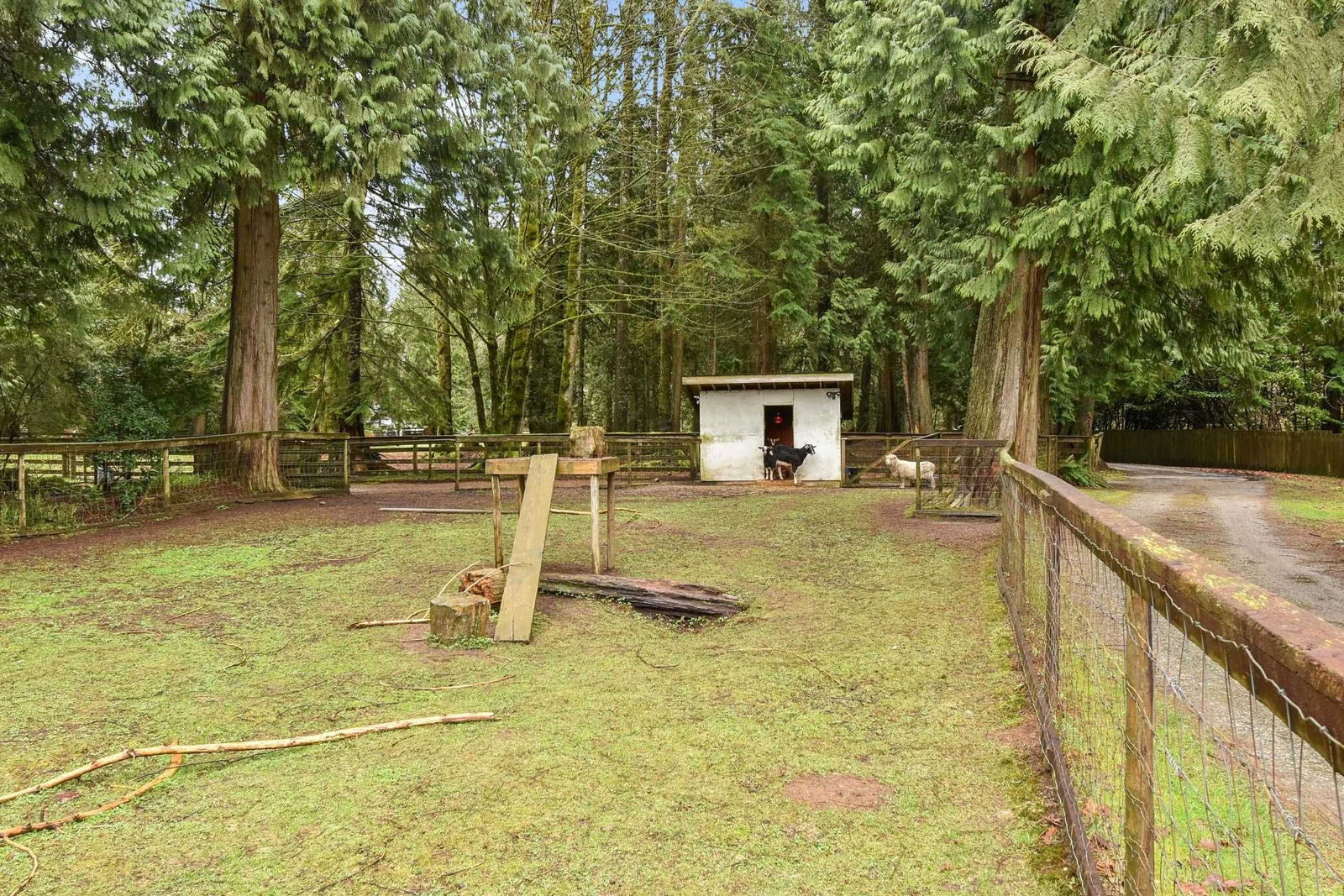 Listing Image 33