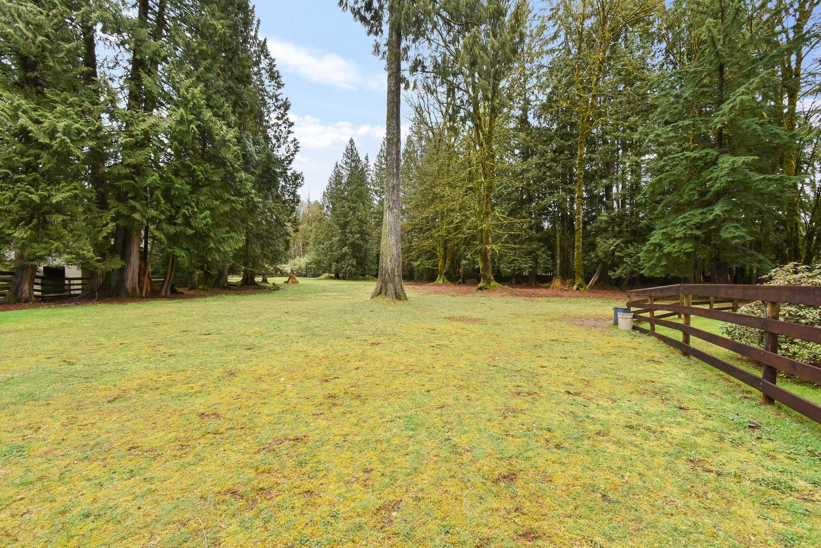 Listing Image 36