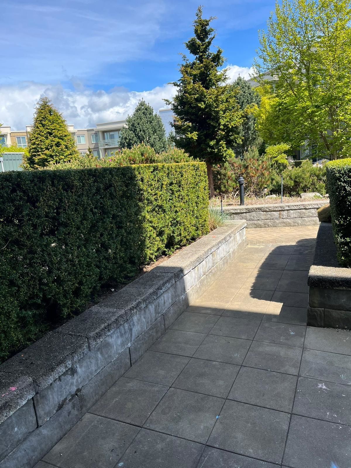 Listing Image 38