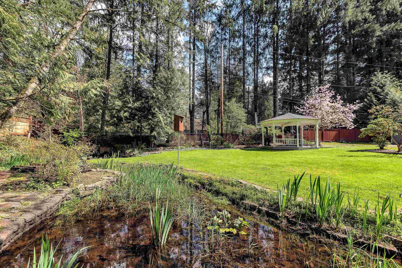 Listing Image 32